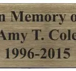 2.5" x 8" Olympian Plaques Series