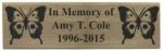 2.5" x 6" Olympian Plaque Series